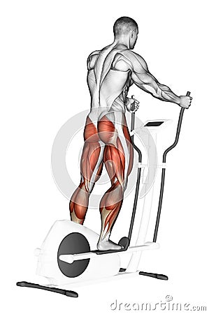 Exercising. Walk on the elliptical trainer Stock Photo