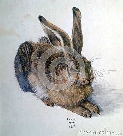 Photo of the famous original painting Young hare by Albrech Durer Editorial Stock Photo