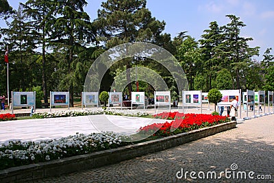 Exhibiton of Most Beautiful Tulips Editorial Stock Photo