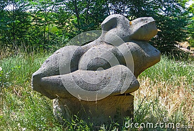 exhibits from the excavations of the ancient city of Olbia on the shore of the Dnieper Editorial Stock Photo