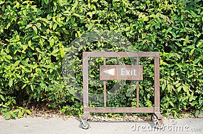 Exit with arrow sign on wood board against green leaf wall background Stock Photo