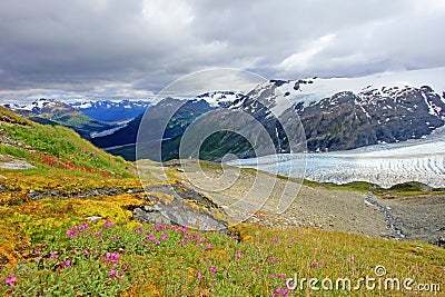 Exit Glacier, Harding Ice Field, Kenai Fjords National Park, Alaska Stock Photo