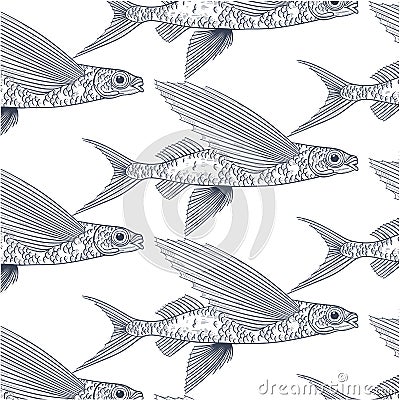 Exocoetidae or Flying fish hand drawing Vector Illustration