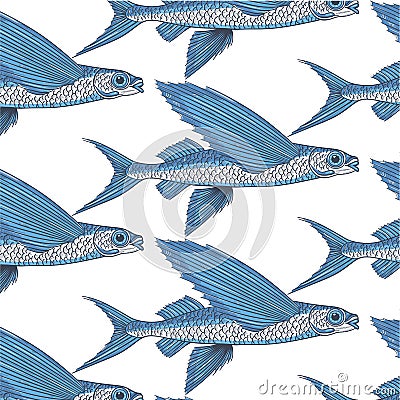 Exocoetidae or Flying fish hand drawing Cartoon Illustration