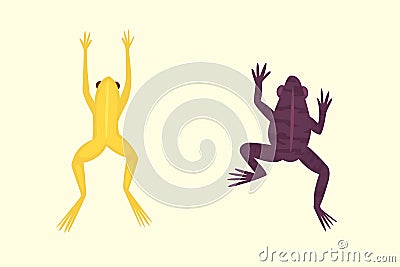 Exotic amphibian set. Frogs in different styles Vector Illustration
