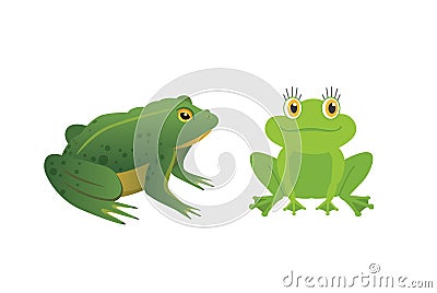 Exotic amphibian set. Frogs in different styles Cartoon Vector Illustration isolated. tropical animals Vector Illustration