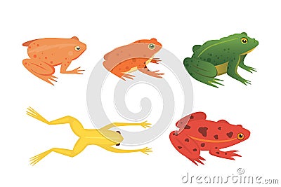 Exotic amphibian set. Frogs in different styles Cartoon Vector Illustration isolated. tropical animals Vector Illustration