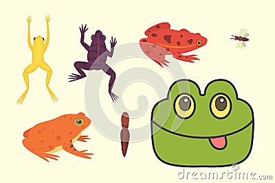 Exotic amphibian set. Frogs in different styles Cartoon Vector Illustration isolated. tropical animals Vector Illustration