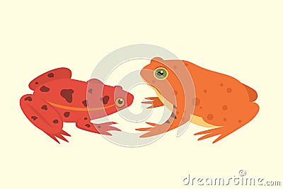 Exotic amphibian set. Frogs in different styles Cartoon Vector Illustration isolated. tropical animals Vector Illustration