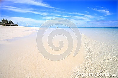 Exotic beach Stock Photo