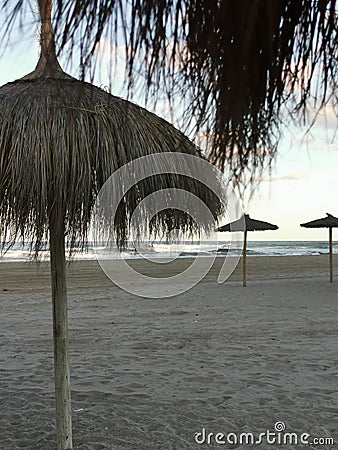 exotic beach on the beach with parasol. A lonely empty beach umbrella made of reeds. Beautiful dry branches of palm trees on the Stock Photo