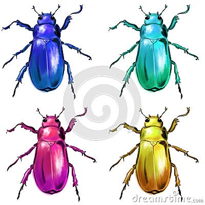 Exotic beetles wild insect Stock Photo