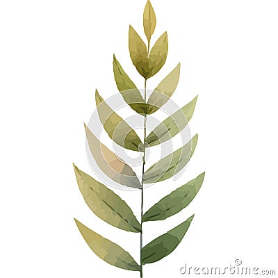 exotic branch with leafs plant watercolor Stock Photo