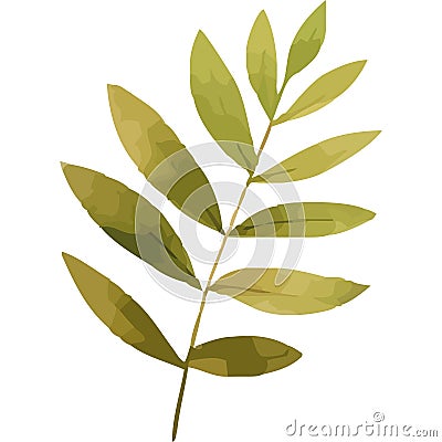 exotic branch with leafs plant watercolor style Stock Photo