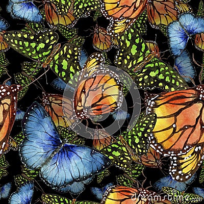 Exotic butterflies wild insect in a watercolor style. Seamless background pattern. Stock Photo