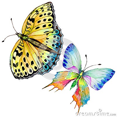 Exotic butterfly wild insect in a watercolor style isolated. Stock Photo