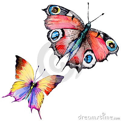 Exotic butterfly wild insect in a watercolor style isolated. Stock Photo