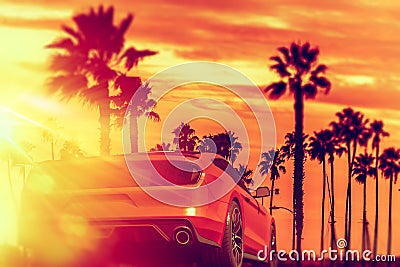 Exotic Car Palm Beach Ride Stock Photo