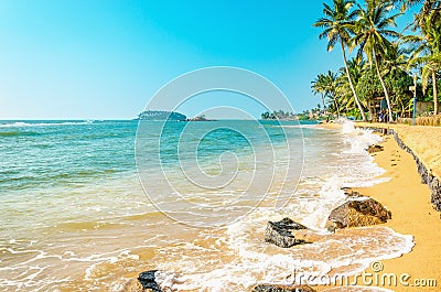 Exotic caribbean beach full of palm trees Stock Photo