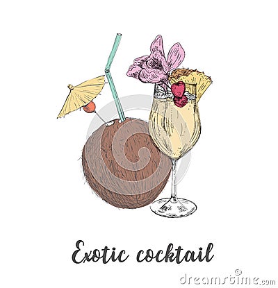 Exotic cocktail coconut pineapple drink. Sketch Vector Illustration