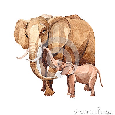 Exotic elephant wild animal in a watercolor style isolated. Stock Photo