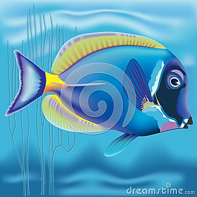 Exotic fish: Acanthurus Stock Photo