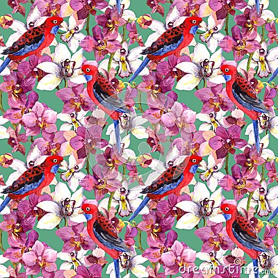 Exotic floral pattern - parrot bird, blooming orchid flowers Stock Photo