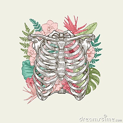 Exotic florals vintage rib cage illustration. Vector Illustration