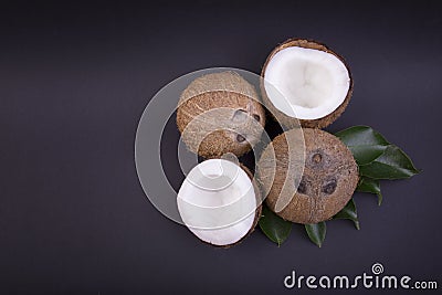 Exotic and fresh coconuts with green leaves on a dark purple background. Fresh, ripe and organic fruit of coconuts. Stock Photo