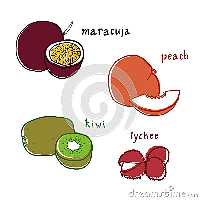 Exotic fruit flavor drawings set Vector Illustration