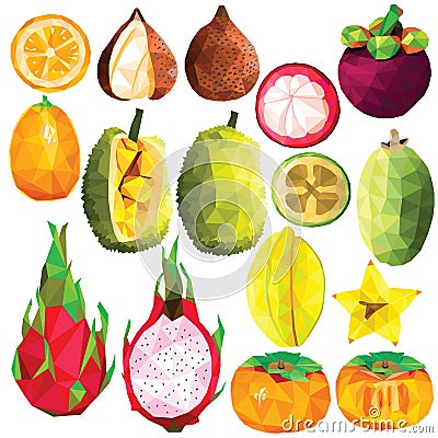 Exotic fruit set Vector Illustration