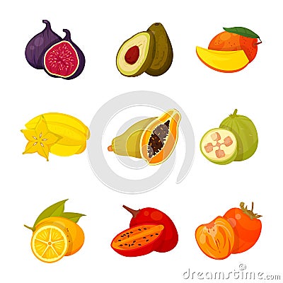Exotic fruit set Cartoon Illustration