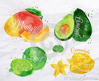 Exotic fruit watercolor mango, avocado, carambola Vector Illustration