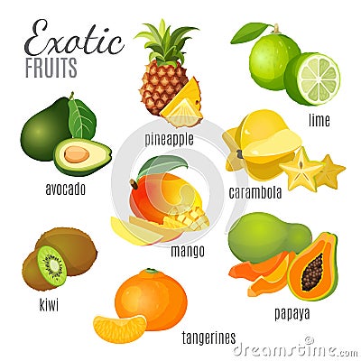 Exotic fruits avocado, pineapple, papaya, tangerine, mango, kiwi, carambola, lime Vector Illustration