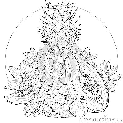 Exotic fruits and flowers. Pineapple, Papaya, Mangosteen.Coloring book antistress for children and adults Stock Photo