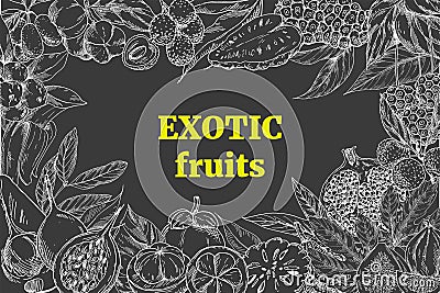 Exotic fruits, landscape frame Vector Illustration