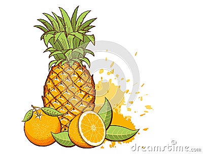 Exotic fruits. Pineapple, Oranges vector color illustration with splash isolated on white Vector Illustration