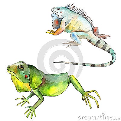 Exotic iguana wild animal. Watercolor background illustration set. Isolated reptilia illustration element. Cartoon Illustration