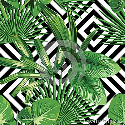 Exotic jungle plant tropical palm leaves Vector Illustration