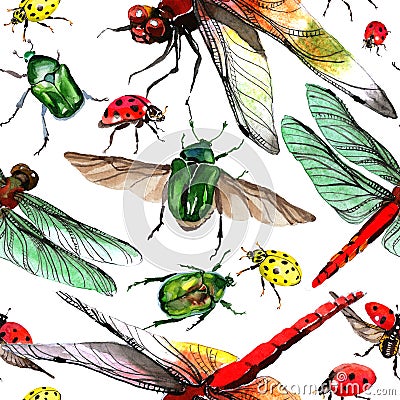 Exotic ladybug wild insect pattern in a watercolor style. Stock Photo