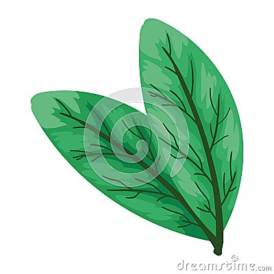 exotic leafs plant design icon Vector Illustration