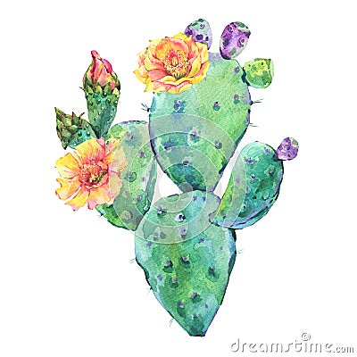 Exotic natural vintage watercolor blooming cactus greeting card Stock Photo