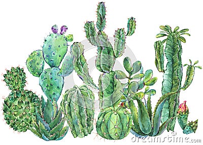 Exotic natural vintage watercolor cactus greeting card. Stock Photo