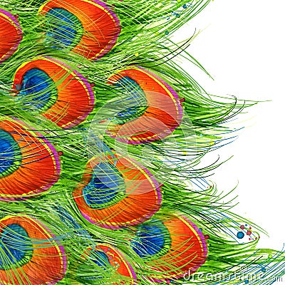 Exotic peacock feather background. peacock feather illustration watercolor textured background. unusual illustration watercolor Cartoon Illustration