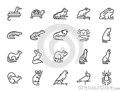 Exotic pet icon set. It included the turtle, frog, lizard and more icons. Vector Illustration