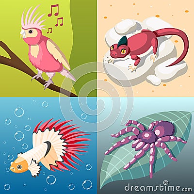 Exotic Pets 2x2 Design Concept Vector Illustration