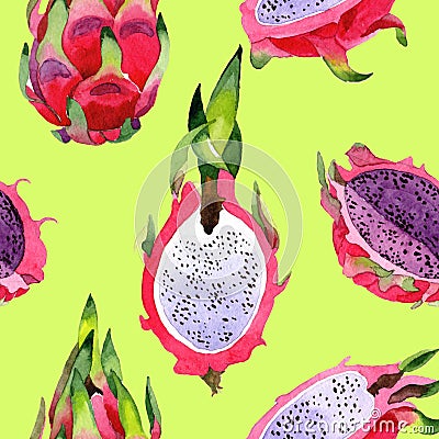 Exotic pitaya wild frukt pattern in a watercolor style. Stock Photo