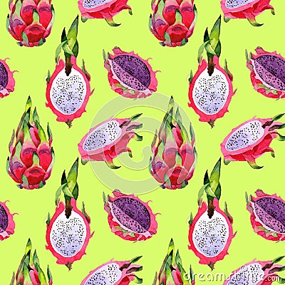 Exotic pitaya wild frukt pattern in a watercolor style. Stock Photo