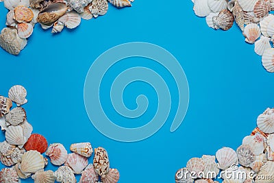 Exotic Seashell Decorative Composition Flat Lay Stock Photo
