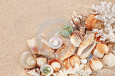 Exotic shells and corals in the sand. Summer beach vacation concept. Stock Photo